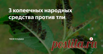 3 копеечных народных средства против тли Тля в саду и на грядках – опасность, которая может стоить вам целого урожая. Эти маленькие насекомые питаются соками растений и тем самым становятся причиной истощения их жизненных сил. Растения, заражённые тлёй плохо растут, не цветут и не плодоносят. Также вредитель может переносить опасные грибковые заболевания.
Часто чтоб избавиться от тли в огороде. нужно вывести муравьёв.
Бороться с тлёй мож