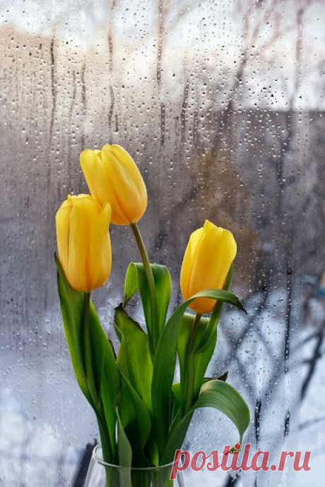 Татьяна Моисеева – Google+