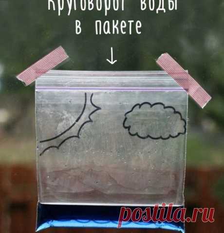 Как сделать так, чтобы дети просто обожали вас? Наука в помощь!