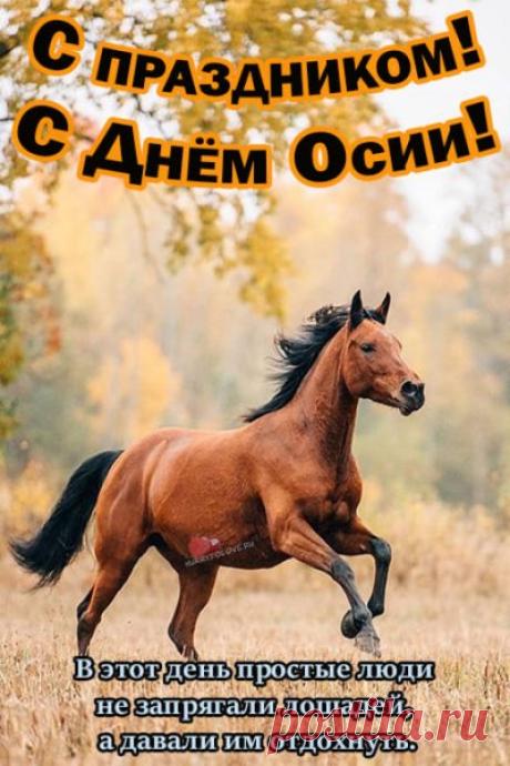 Пусть в день пророка Осии судьба повернётся к тебе доброй стороной, а дорога вперёд будет ровной и удачной. Открытки на День пророка Осия Колесника.