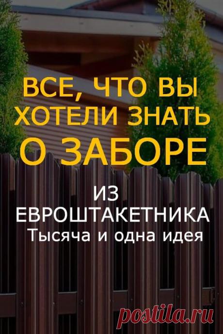 Все, что вы хотели знать о заборе из евроштакетника | Тысяча и одна идея