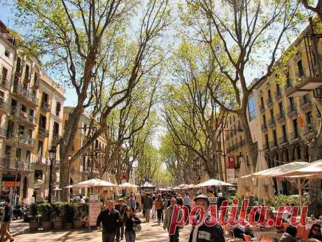 La Rambla соединяет площадь Каталонии с памятником Христофору Колумбу и представляет собой вечно бурлящую улицу в центре Барселоны. Рамбла горячо любима и гостями города, и местными жителями. Говорят, у гуляющих по этой улице, заполненной цветочными лавками и уличными артистами, возникает страстное желание, чтобы Ла Рамбла никогда не кончалась.