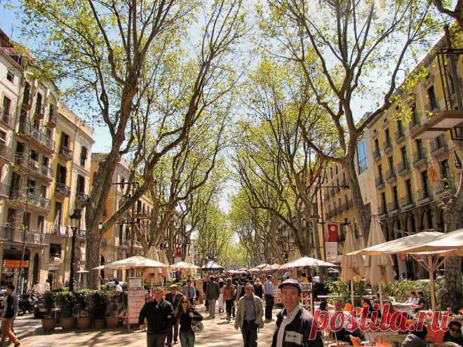 La Rambla соединяет площадь Каталонии с памятником Христофору Колумбу и представляет собой вечно бурлящую улицу в центре Барселоны. Рамбла горячо любима и гостями города, и местными жителями. Говорят, у гуляющих по этой улице, заполненной цветочными лавками и уличными артистами, возникает страстное желание, чтобы Ла Рамбла никогда не кончалась.
