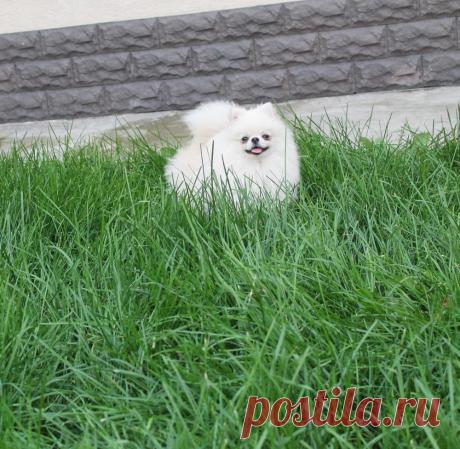 BAKCIK
