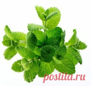 Наше здоровье в наших руках