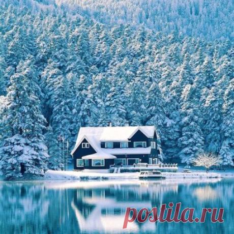 (99) Одноклассники
