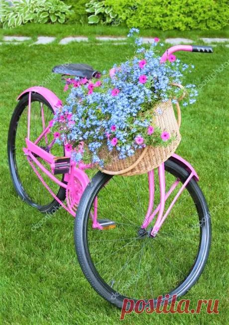 flower house – Google+