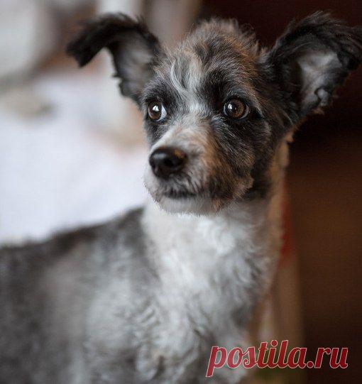 Татьяна Кузнецова