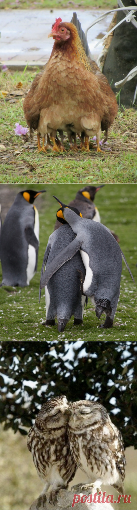 Обнимайтесь чаще / Болталка / Разговоры на любые темы