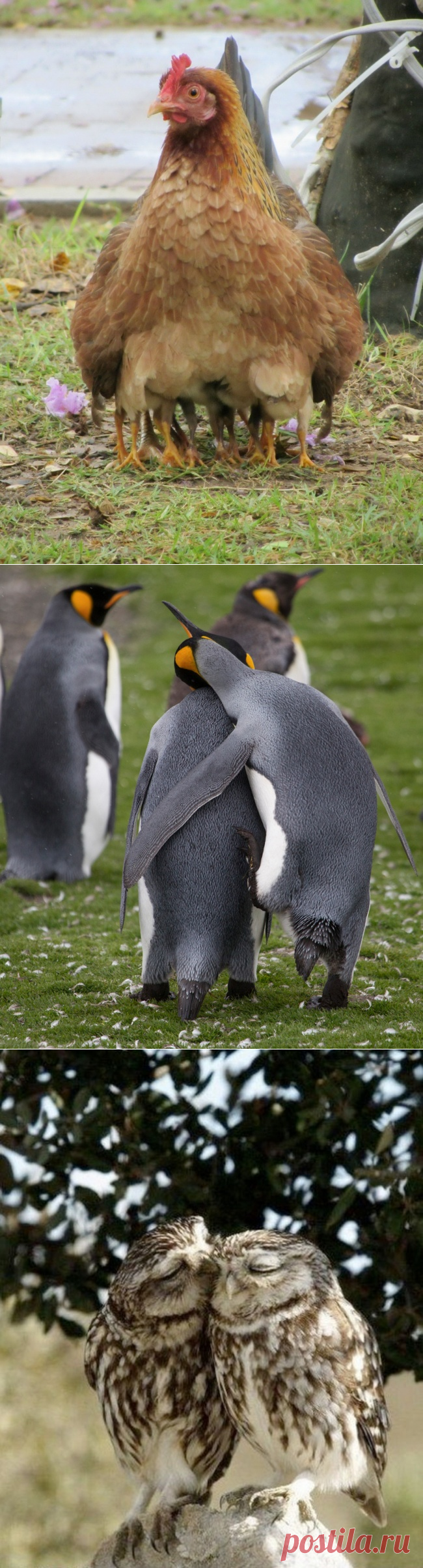 Обнимайтесь чаще / Болталка / Разговоры на любые темы