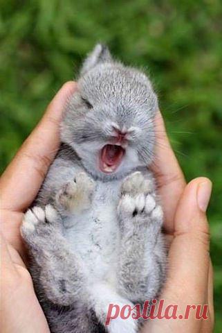 Самое интересное