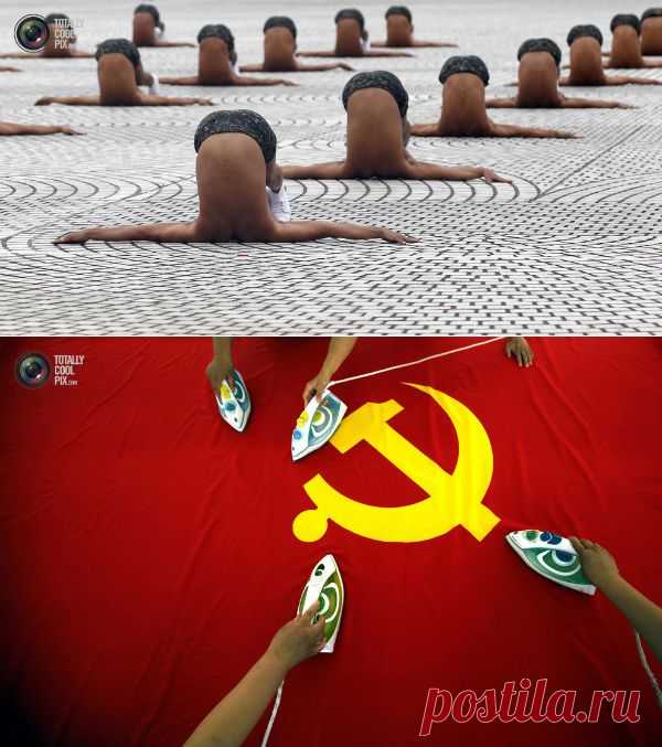 Странные и замечательные фотографии года