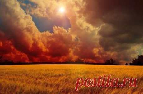 Короткие и мудрые притчи о жизни » Notagram.ru Три короткие притчи о жизни, которые покажут вам, что на все нужно смотреть под другим углом. Мудрые притчи о жизни, времени, гордости и возможностях.