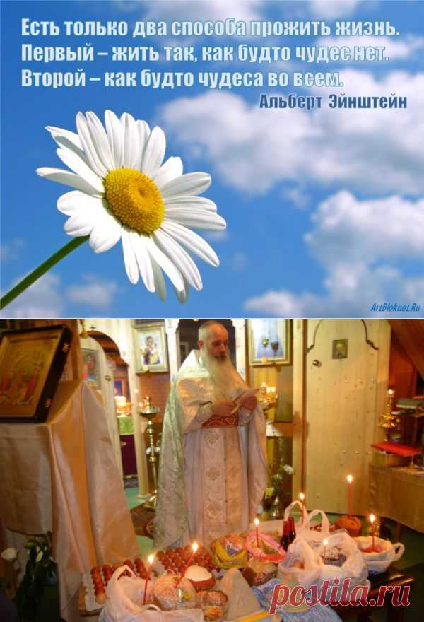 Школа вечной жизни