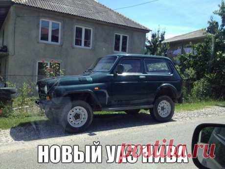 Ниваз?