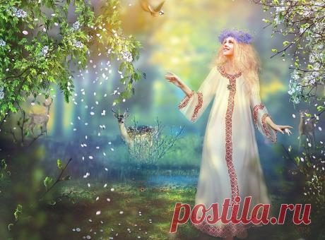 8 марта - праздник матери-земли (приметы и поверья) | Метаморфоза | Яндекс Дзен