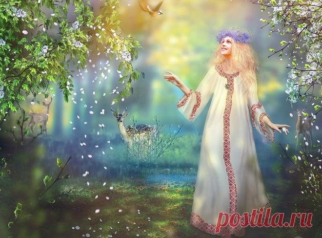 8 марта - праздник матери-земли (приметы и поверья) | Метаморфоза | Яндекс Дзен