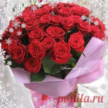 (3) Facebook