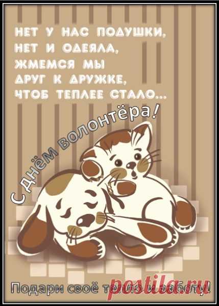 С Днем волонтера!