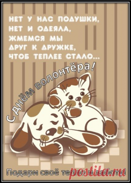С Днем волонтера!
