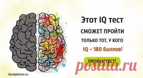 Этот IQ тест сможет пройти только тот, у кого IQ – 180 баллов! Этот IQ тест сможет пройти только тот, у кого IQ – 180 баллов!Просторы интернета сейчас заполонило множество тестов на уровень интеллекта.