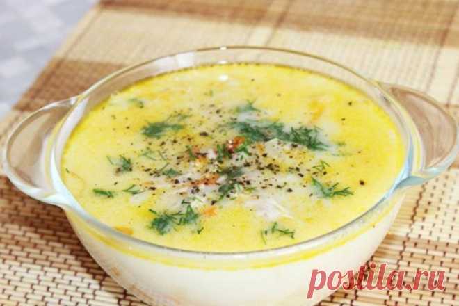 Французский сырный суп – рецепт с плавленым сыром и курицей