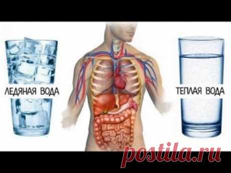 Как мы вредим здоровью каждый день: 6 опасных привычек