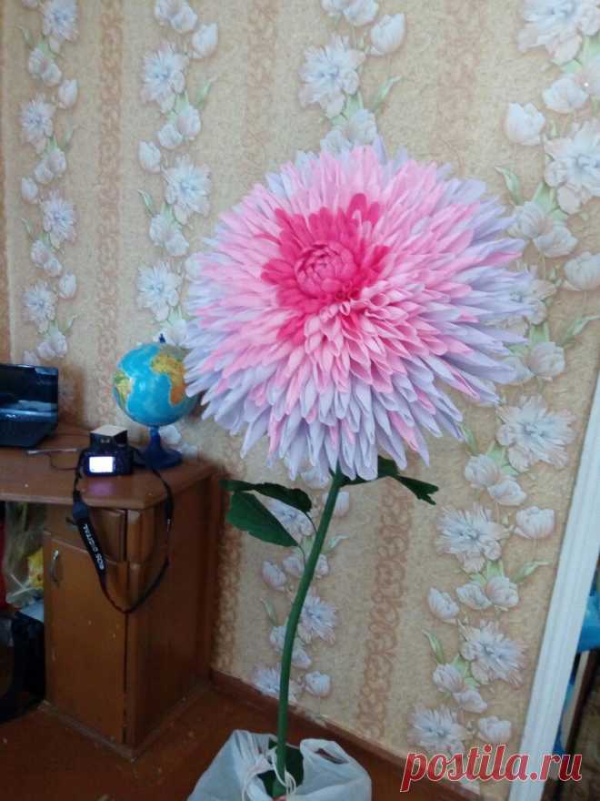 Мастер-классы. Цветы из бумаги. Фотозоны. МК