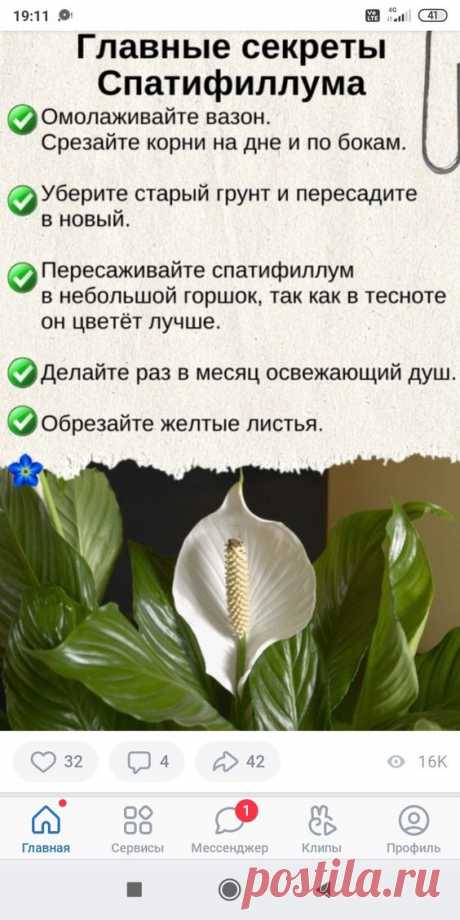 Pin page