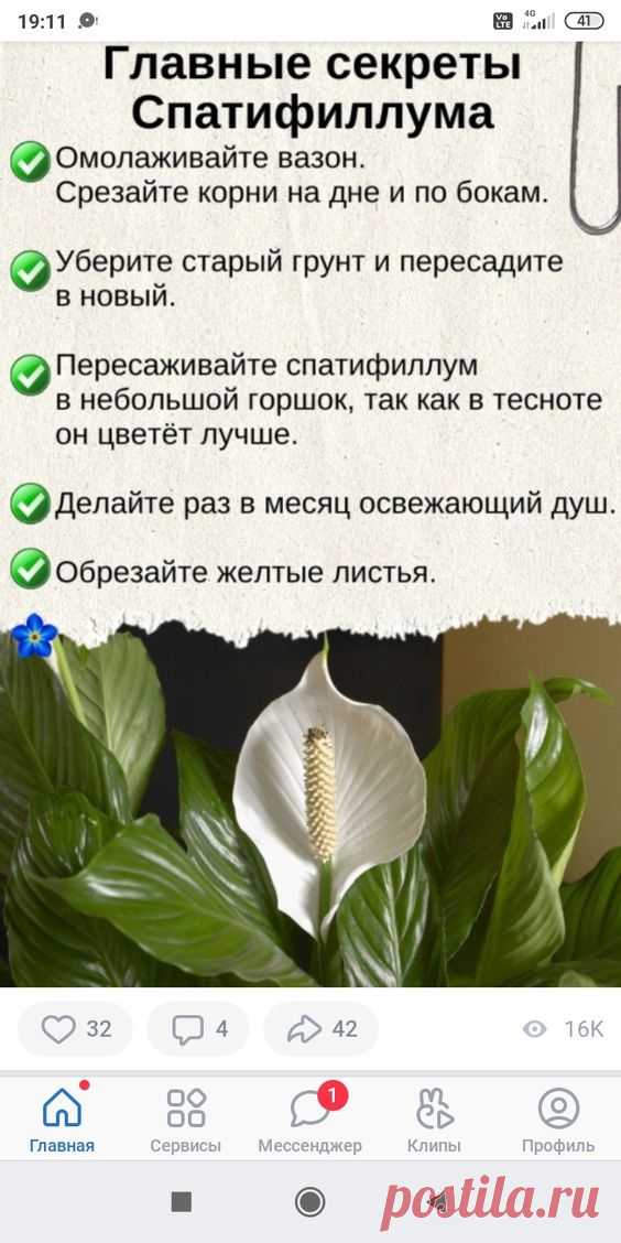 Pin page