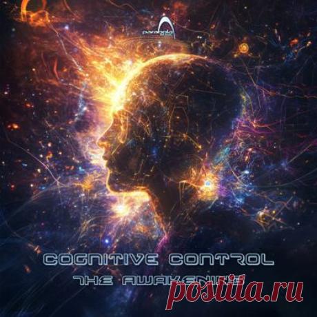 Cognitive Control – The Awakening
