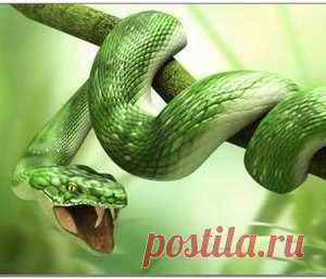 Короткая притча с глубоким смыслом