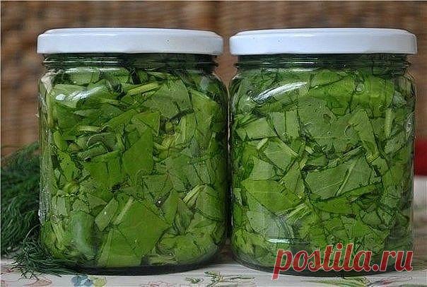 Щавель консервированный

Самый лучший способ сохранения щавеля на зиму из всех мне известных.
Получается как только с грядки.
Борщик - пальчики оближешь!
Щавель (свежий)
• Вода (холодная) — 1 л
• Соль — 1 ст. л.
• Уксус ( столовый) 6% — 100 г

Щавель нарезаем в меру мелко, плотно укладываем в стерильные банки. Отдельно добавляем в 1 л холодной воды, одну стопку уксуса и 1 ст.л. соли. Перемешиваем и заливаем в банки доверху. Сразу закатываем. Готово! За счет того, что щавел...