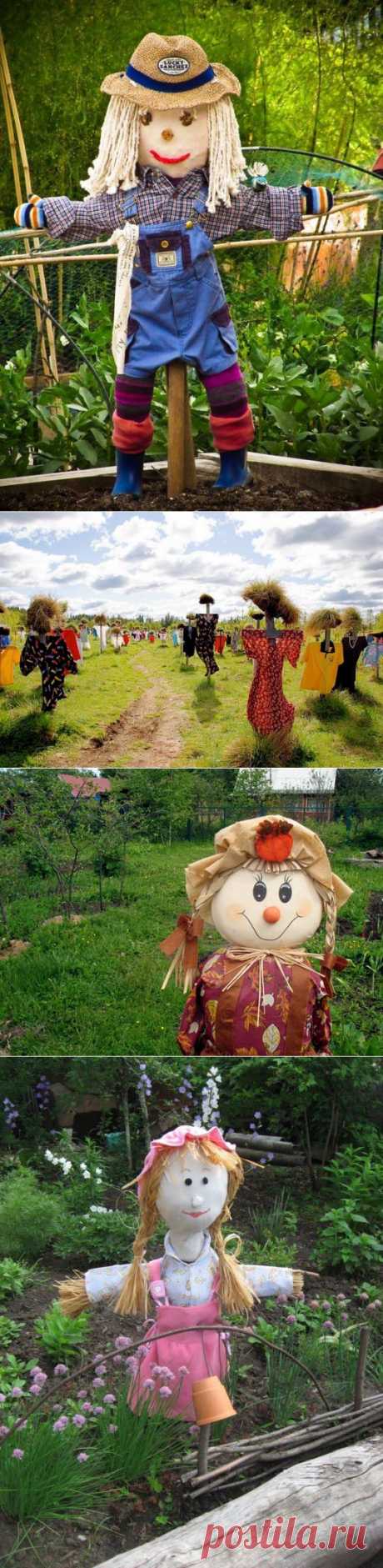 Огородное пугало: защитник урожая и украшение сада | 6 соток