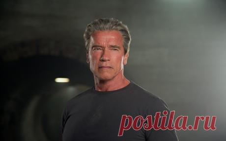 Арнольд Шварценеггер: 21 тыс изображений найдено в Яндекс.Картинках