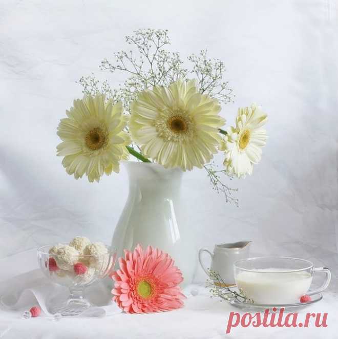 Плейкаст «** ЦВЕТЫ ДЛЯ САМОЙ ,САМОЙ.....ПРЕКРАСНОЙ!!**»