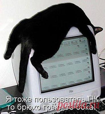 как зарабатывать в Интернете без вложений и без продаж? я знаю ответ