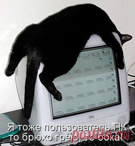 как зарабатывать в Интернете без вложений и без продаж? я знаю ответ