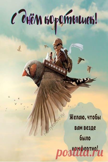 Картинки на день коротышек: поздравления в открытках с надписями на 22 декабря 2023