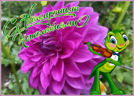 Милая картинка с наилучшими пожеланиями для вас
