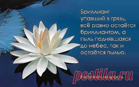 (99) Одноклассники