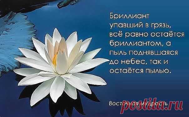 (99) Одноклассники