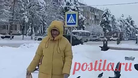 VID-20260119-WA0006.mp4