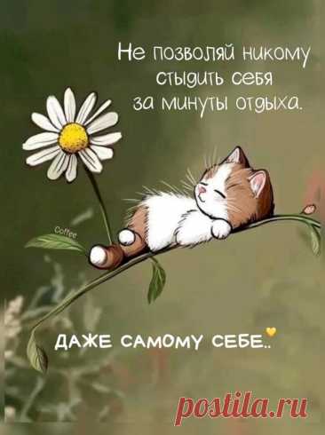 Выпуск №6418 - выпуск анекдотов сайта вокруг смеха