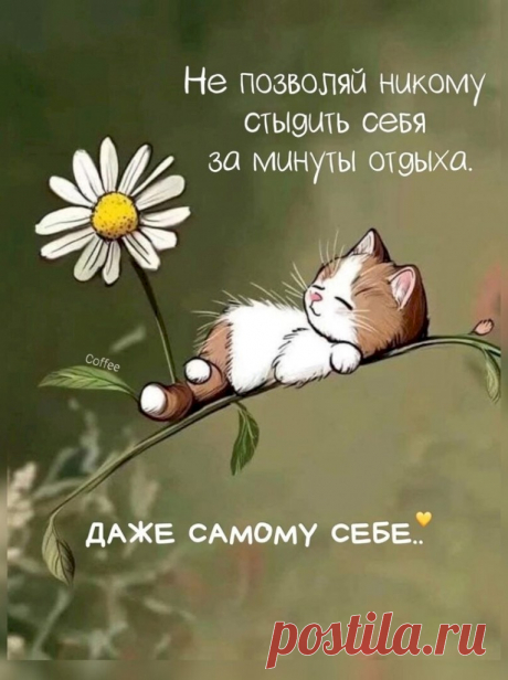 Выпуск №6418 - выпуск анекдотов сайта вокруг смеха