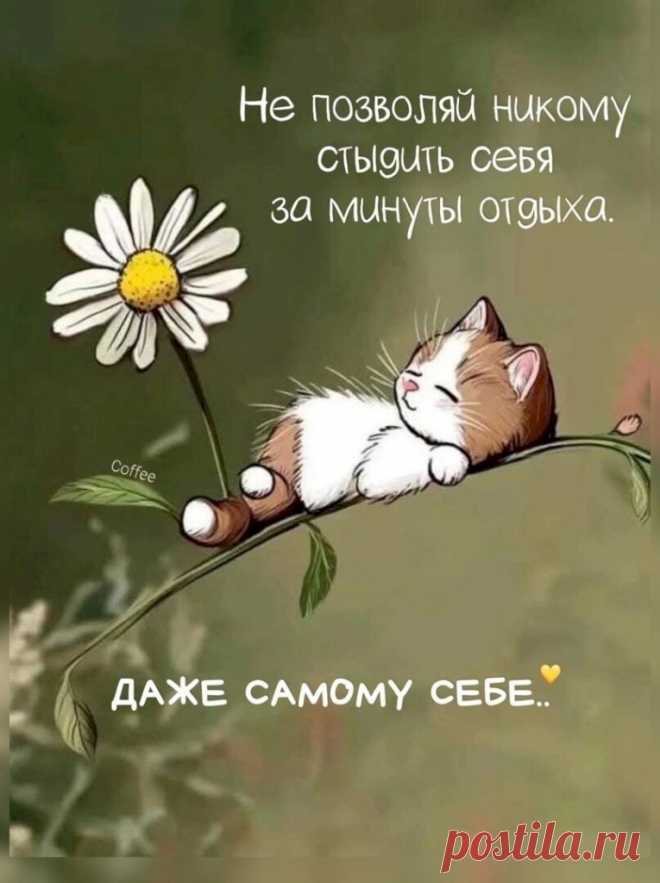 Выпуск №6418 - выпуск анекдотов сайта вокруг смеха