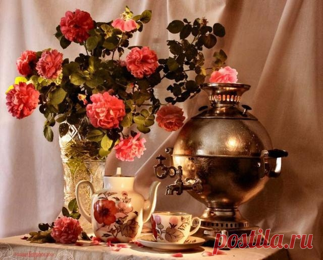 (6) Зина Таирова