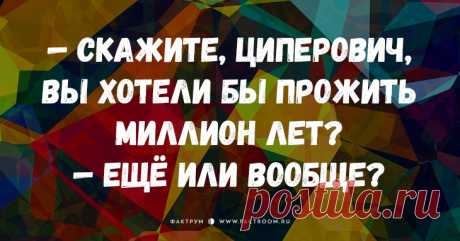 15 новых анекдотов, над которыми вы будете хохотать до слёз!