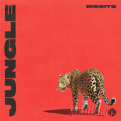 Biscits – Jungle
