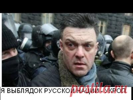 Украинство – это уже не национальность, а зомбо-вирус | Новости, события, факты